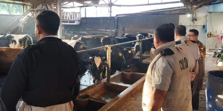 Kementan Gandeng Satgas Pangan Polri Awasi Penyerapan Susu Segar