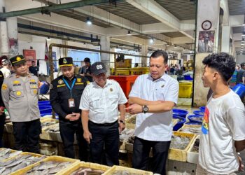 KKP Pastikan Harga dan Pasokan Ikan Aman Hadapi Nataru