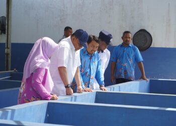 Jaga Gizi, KKP Tingkatkan Mutu Budidaya Ikan