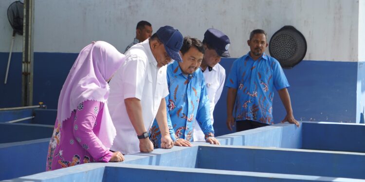 Jaga Gizi, KKP Tingkatkan Mutu Budidaya Ikan