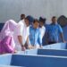 Jaga Gizi, KKP Tingkatkan Mutu Budidaya Ikan