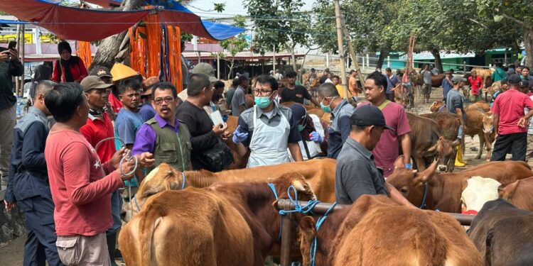 Kementan dan Pemda Jateng Sigap Antisipasi PMK Melalui Vaksinasi dan Edukasi