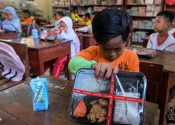 Ahli Gizi UGM: Menu Makan Bergizi Gratis Tidak Boleh Sembarangan