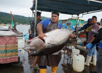 Sinergi KKP dan Pelaku Usaha Perikanan Tingkatkan Hasil PNBP