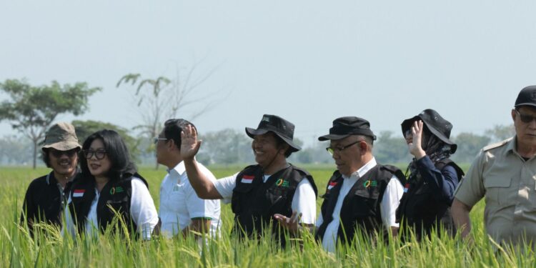 Menjelang Perubahan HPP, Bulog Lakukan Monitoring Titik Panen