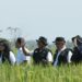 Menjelang Perubahan HPP, Bulog Lakukan Monitoring Titik Panen