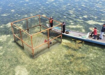 KKP Perkuat Masyarakat Hukum Adat untuk Kelola Laut Berkelanjutan
