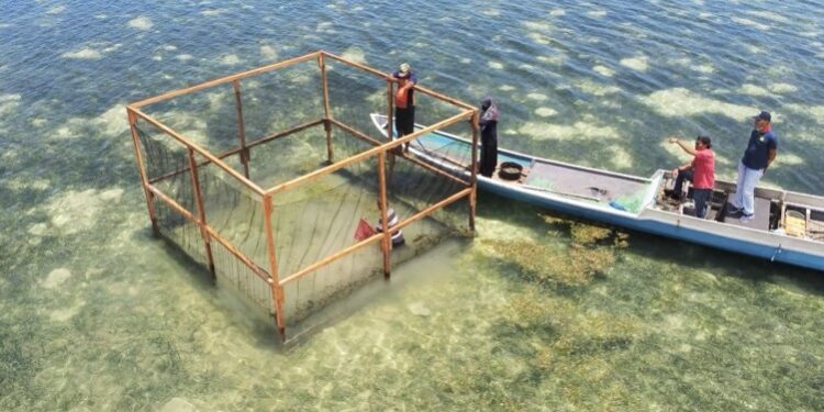 KKP Perkuat Masyarakat Hukum Adat untuk Kelola Laut Berkelanjutan