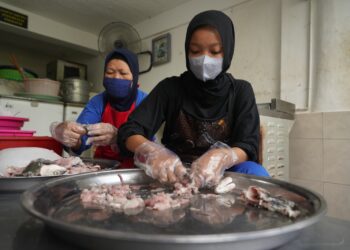 KKP Optimalkan DAK untuk Bedah UPI Skala Mikro Sokong Swasembada Pangan