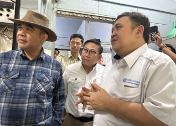 Ketua MPR Ahmad Muzani Apresiasi Respons Cepat Kementan Tangani PMK