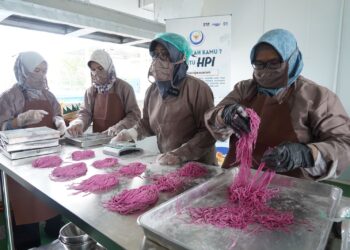 KKP Kenalkan HPI Sokong Hilirisasi & Asupan Protein Ikan Masyarakat