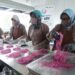 KKP Kenalkan HPI Sokong Hilirisasi & Asupan Protein Ikan Masyarakat