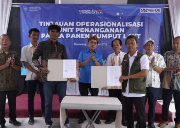 Peringati HGN, KKP Perkuat Hilirisasi Rumput Laut di Karawang