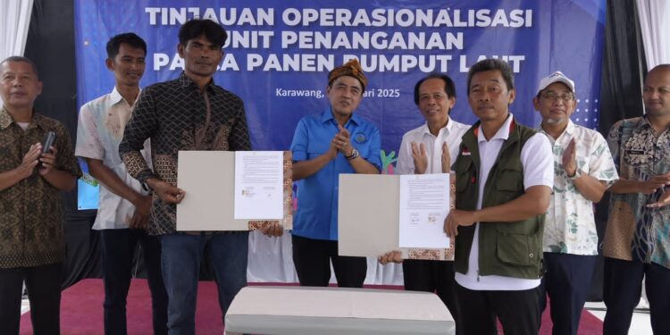 Peringati HGN, KKP Perkuat Hilirisasi Rumput Laut di Karawang