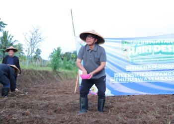 Genjot Swasembada Pangan, Mendes PDT Dorong Desa Maksimalkan Lahan