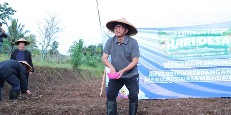 Genjot Swasembada Pangan, Mendes PDT Dorong Desa Maksimalkan Lahan
