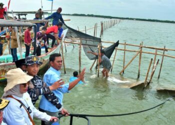 Soroti Sertifikat Pagar Laut, Titiek Soeharto: Cacat Hukum, Harus Ditertibkan