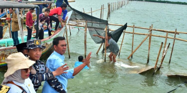 Soroti Sertifikat Pagar Laut, Titiek Soeharto: Cacat Hukum, Harus Ditertibkan