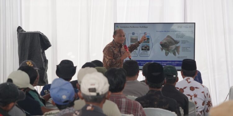 KKP: Masyarakat Karawang Dukung Program Revitalisasi Tambak Pantura