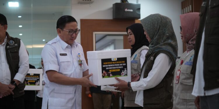 Kementan Distribusikan 652 Ribu Dosis Vaksin PMK Tahap 2 ke Jawa Timur