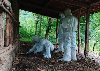 Kementan Cepat Respon Satu Kasus Gejala Antraks di Gunung Kidul