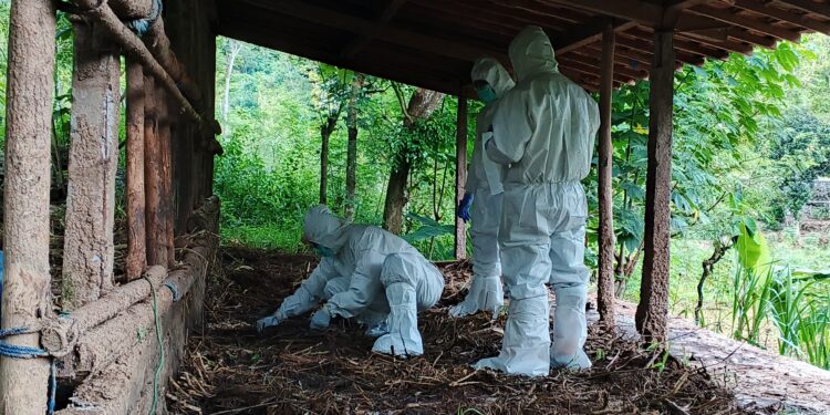 Kementan Cepat Respon Satu Kasus Gejala Antraks di Gunung Kidul