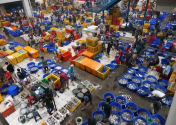 Kolaborasi KKP-WWF Jaga Keberlanjutan Hulu-Hilir Produk Perikanan
