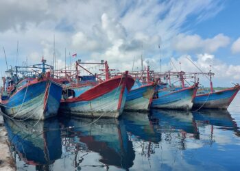 KKP  Bekukan Izin 11 Kapal Terduga Transhipment di Arafura