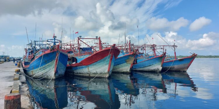 KKP Bekukan Izin 11 Kapal Terduga Transhipment di Arafura