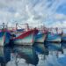 KKP Bekukan Izin 11 Kapal Terduga Transhipment di Arafura