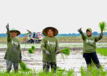 WPI Tegaskan Komitmen Dukung Swasembada Pangan