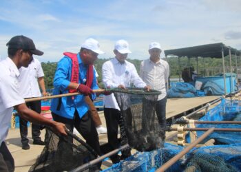 Ikan Kakap Putih Tinggi Peminat, KKP Pastikan Stok Aman hingga Lebaran