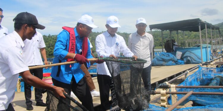 Ikan Kakap Putih Tinggi Peminat, KKP Pastikan Stok Aman hingga Lebaran