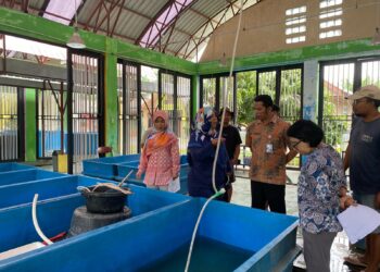 KKP Gencarkan Pengawasan Mutu Benih Ikan untuk Keamanan Pangan
