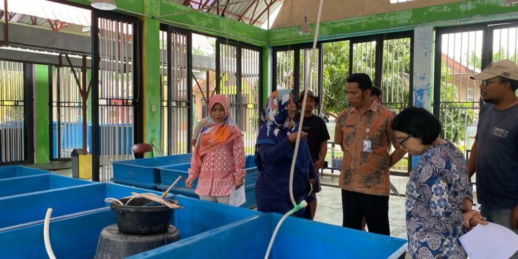 KKP Gencarkan Pengawasan Mutu Benih Ikan untuk Keamanan Pangan