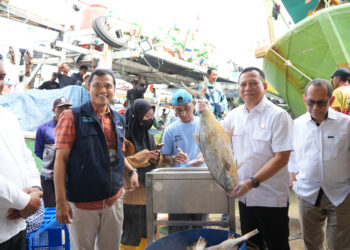 KKP Cek Ketersediaan Ikan di PP Karangsong Hadapi Lebaran 2025
