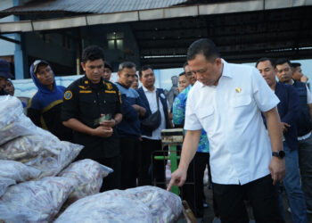 KKP Pastikan Stok Ikan Aman Jelang Idul Fitri 2025