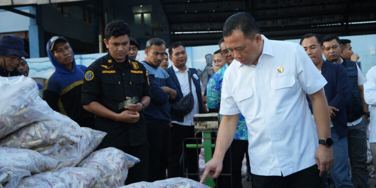 KKP Pastikan Stok Ikan Aman Jelang Idul Fitri 2025
