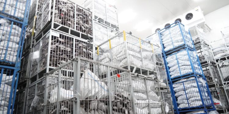 KKP Sokong Bisnis Cold Storage Guna Perluas Distribusi & Stabilitas Harga Ikan