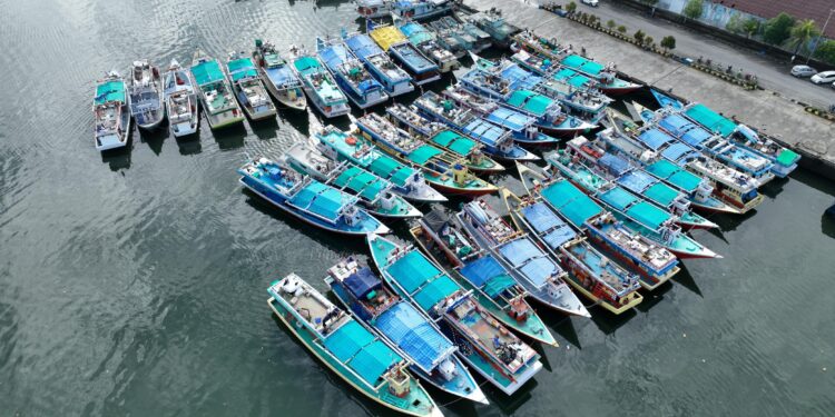 PIT Jadi Kunci Produk Perikanan Tembus Pasar Internasional