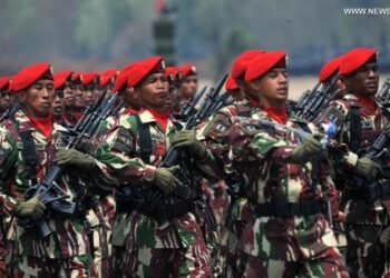 Revisi UU TNI Ubah Tiga Pasal, Ini Daftarnya
