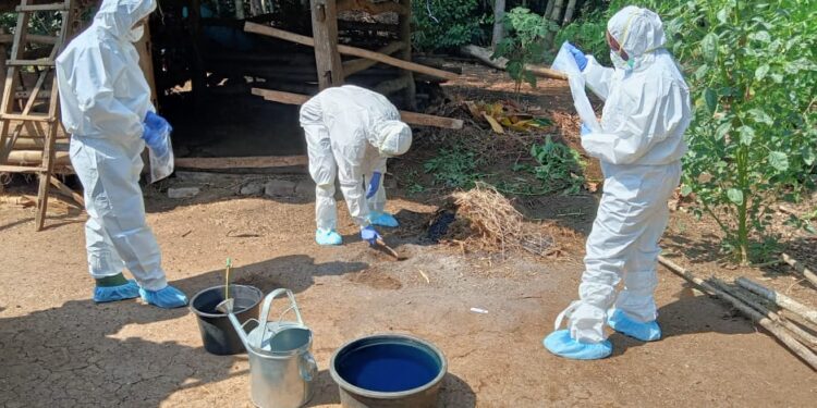 Kementan dan Dinas Respon Cepat Tangani Antraks di Gunung Kidul, Vaksinasi Disiapkan Jelang Idul Adha