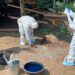 Kementan dan Dinas Respon Cepat Tangani Antraks di Gunung Kidul, Vaksinasi Disiapkan Jelang Idul Adha
