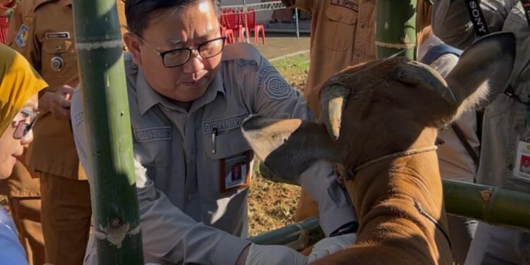 Kementan Gandeng Bone Bangun Ekosistem Peternakan Kawasan Timur