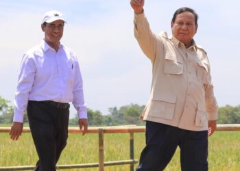 Pengamat: Layak Diapresiasi Publik, Panen Raya Padi 2025 Sangat Tinggi