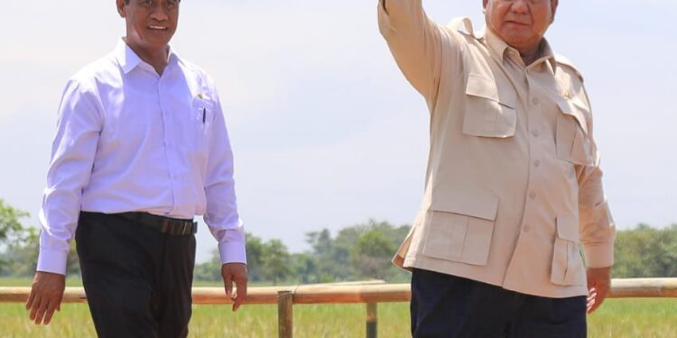 Pengamat: Layak Diapresiasi Publik, Panen Raya Padi 2025 Sangat Tinggi