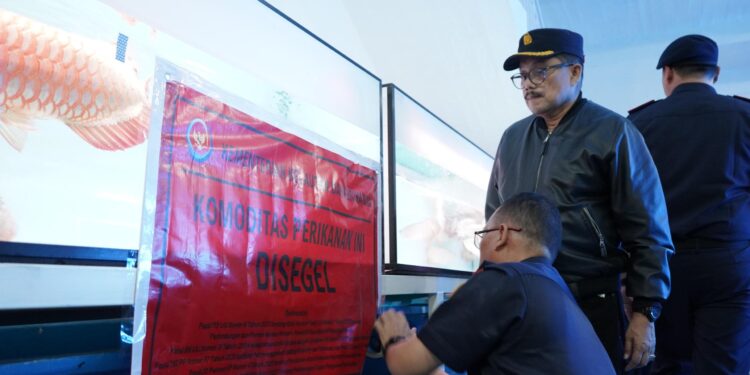 KKP Segel Lokasi Jual Beli Ikan Hias di Kalbar