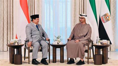 Indonesia dan Persatuan Emirat Arab Sepakati 8 Kerja Sama, Ini Daftarnya