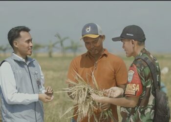 Serapan Tembus 2.000.524 Ton Setara Beras, Stok Bulog Tembus 3,6 Juta Ton