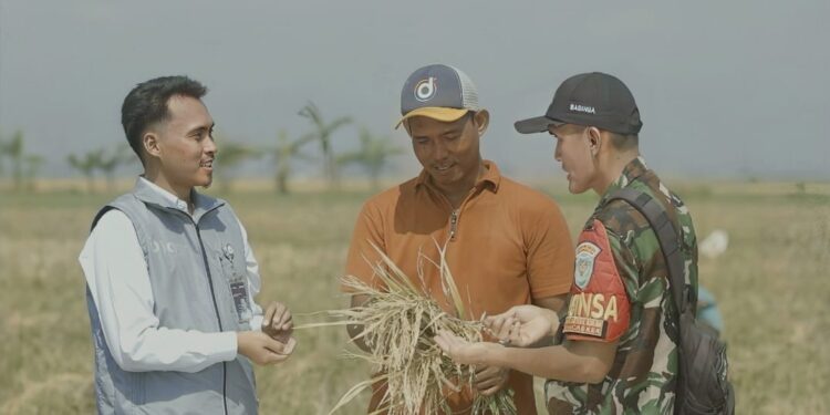 Serapan Tembus 2.000.524 Ton Setara Beras, Stok Bulog Tembus 3,6 Juta Ton